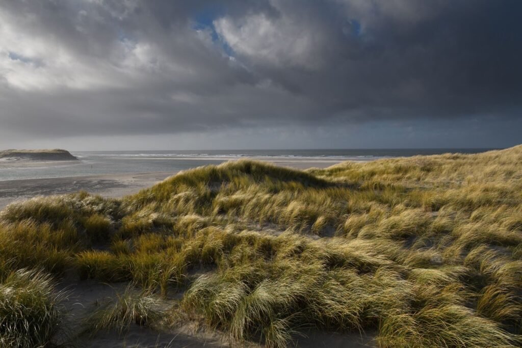 Buiten sporten in Haarlem, parken, duinen en strand